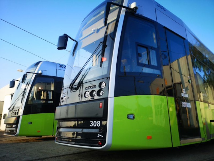 autobusy zielone